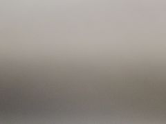 -圣廷苑酒店-世纪楼菲苑自助餐厅