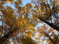 -长春市南湖公园