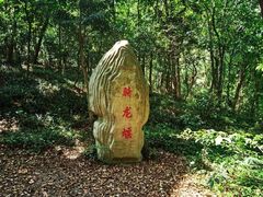 -上海佘山国家森林公园天马山园