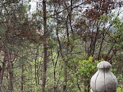 -青龙山国家森林公园
