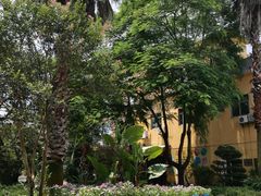 -广东花都香草世界旅游度假区