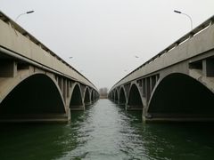 -桃花堤公园