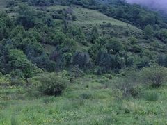 -硗碛藏寨·神木垒景区