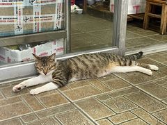 -一锅厨东北水饺店(厦大店)