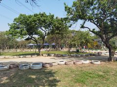 -长洲岛都市农业公园