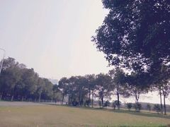 -艾溪湖湿地公园