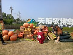 -中国天府农业博览园