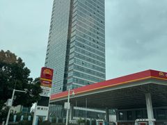 -中国石油徐东路加油站(武汉大道店)