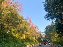 -广州市白云山风景名胜区