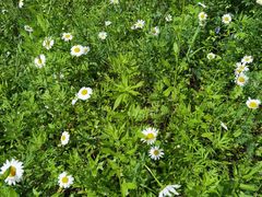 -青峰峡国家森林公园