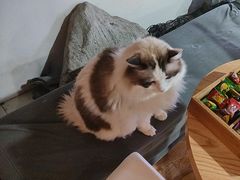 -白兔子密室(长寿路店)