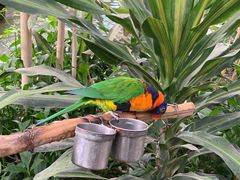 -南宫五洲植物乐园