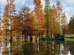 -白鹭湾湿地公园