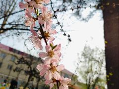 -红黄蓝幼儿园(颐东苑店)