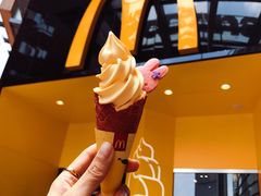 -VT101维多利广场