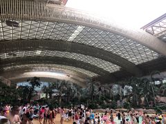 -杭州开元森泊度假乐园