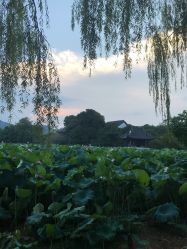 点击看大图 -唯一旅拍·颂当代影像艺术中心(上城店)