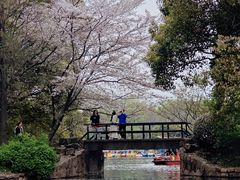 -上海共青森林公园