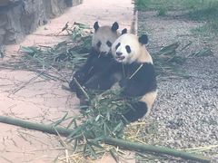 -贵州森林野生动物园