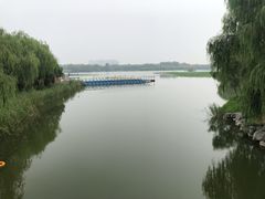 -大兴滨河森林公园