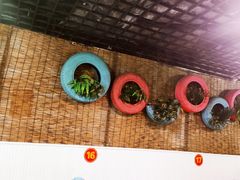 -知味脆皮鸡