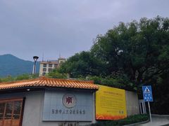 -深圳仙湖植物园