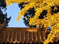 -南拳十三姨·潮汕砂锅粥·粤菜(西单大悦城店)