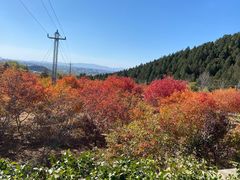 -北京十三陵国家森林公园蟒山景区