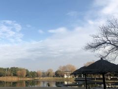 -上海佘山茂御臻品之选酒店(原佘山艾美酒店)