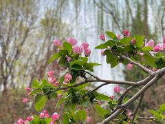 -元大都城垣遗址公园