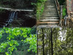 -素山寺森林公园