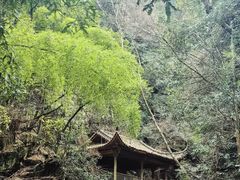 -藏龙百瀑风景区