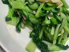 -新吉士·上海菜(浦东LCM置汇旭辉店)