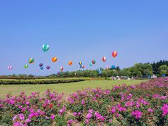 -东方绿舟景区