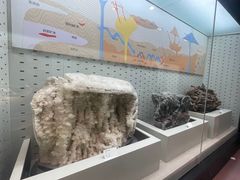 -浙江自然博物院(杭州馆)