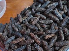 -宫品海参专卖店(静安大宁店)