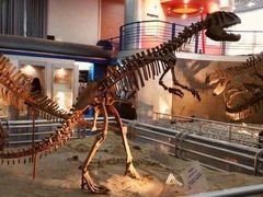 -国家自然博物馆