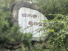 -白水寺森林公园