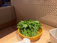 -巴奴毛肚火锅(七宝领展广场店)