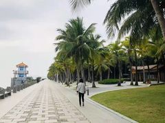 -福田红树林生态公园