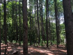 -帽儿山风景区