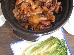 招牌姜母鸭-百家春好德来姜母鸭