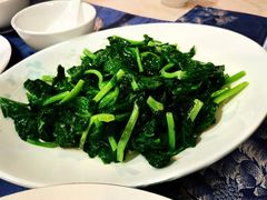 清炒豆尖-富乐山酒店(西黄城根北街店)