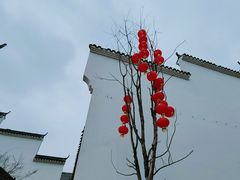 -洋湖国家湿地公园