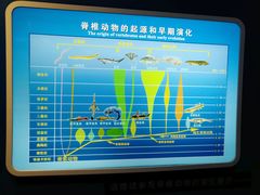 展厅-国家自然博物馆