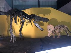 -湖南省地质博物馆