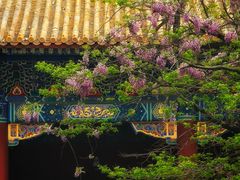 -北京国子监胡同