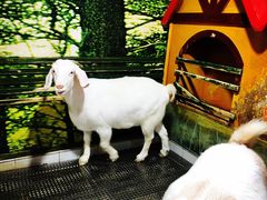 -上海大自然野生昆虫馆