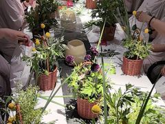 -曲水兰亭(北京四惠店)