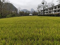 -明仕田园